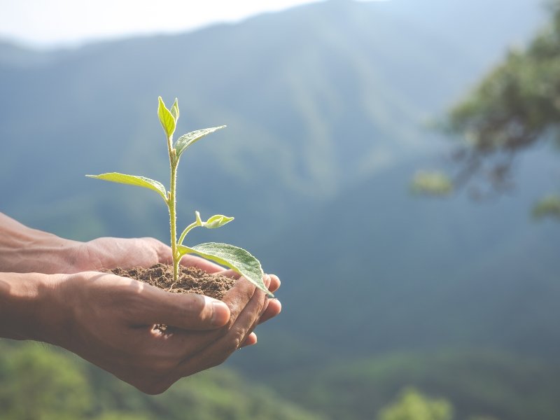 Gestão Ambiental no Brasil: Soluções para o Desentupimento e Coleta de Efluentes 2 Gestão Ambiental no Brasil