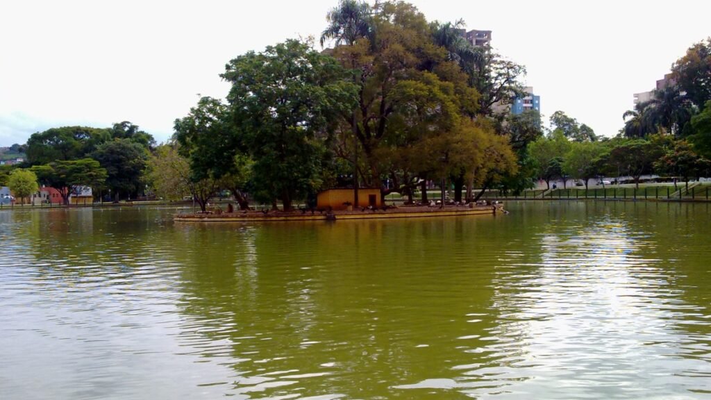 Guarulhos, a Gigante sem Mar: Por que o "Jeitinho Brasileiro" para Desentupir a Pia Não Funciona Aqui? 2 Guarulhos, a Gigante sem Mar