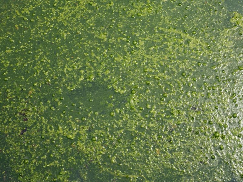 Como o Lodo de Fossa Vira Solução de Sustentabilidade