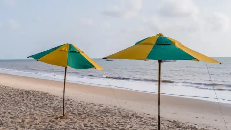 Agência de passeio em João Pessoa: Como escolher e quais roteiros não podem faltar?