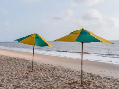 Agência de passeio em João Pessoa: Como escolher e quais roteiros não podem faltar?