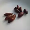 Baru: o que é, benefícios da castanha, como comer e onde encontrar