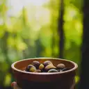 Baru: o que é, benefícios da castanha, como comer e onde encontrar