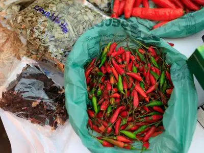Sabores do Ceará: Uma Viagem Temperada Pela Culinária Cearense