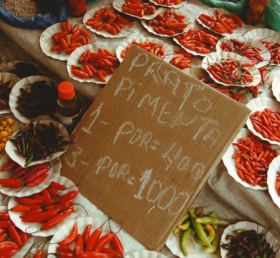 Sabores de Pernambuco: Uma Viagem Pelos Temperos e Tradições da Culinária Pernambucana