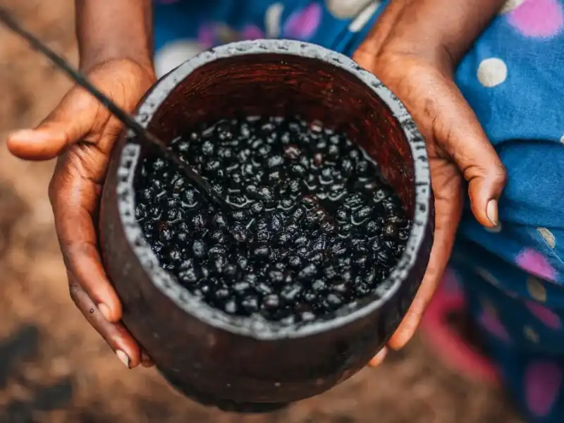 Muito Além do Açaí: 7 Frutas Exóticas Brasileiras que Você Precisa Provar
