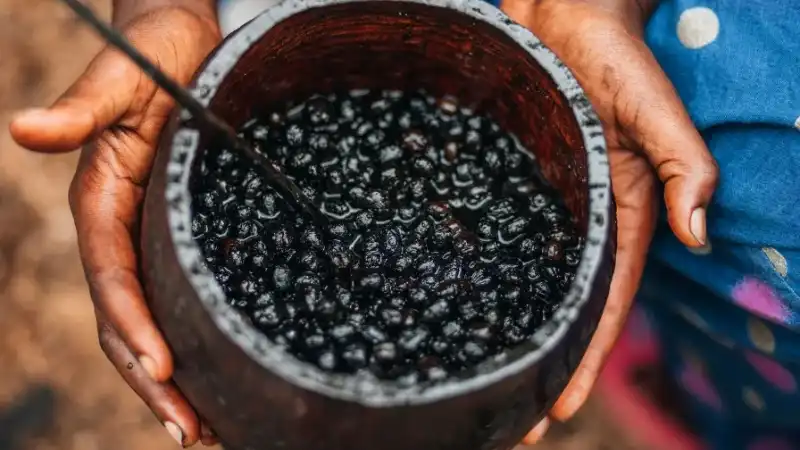 Muito Além do Açaí: 7 Frutas Exóticas Brasileiras que Você Precisa Provar