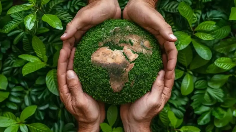 Gestão Ambiental no Brasil: Soluções para o Desentupimento e Coleta de Efluentes