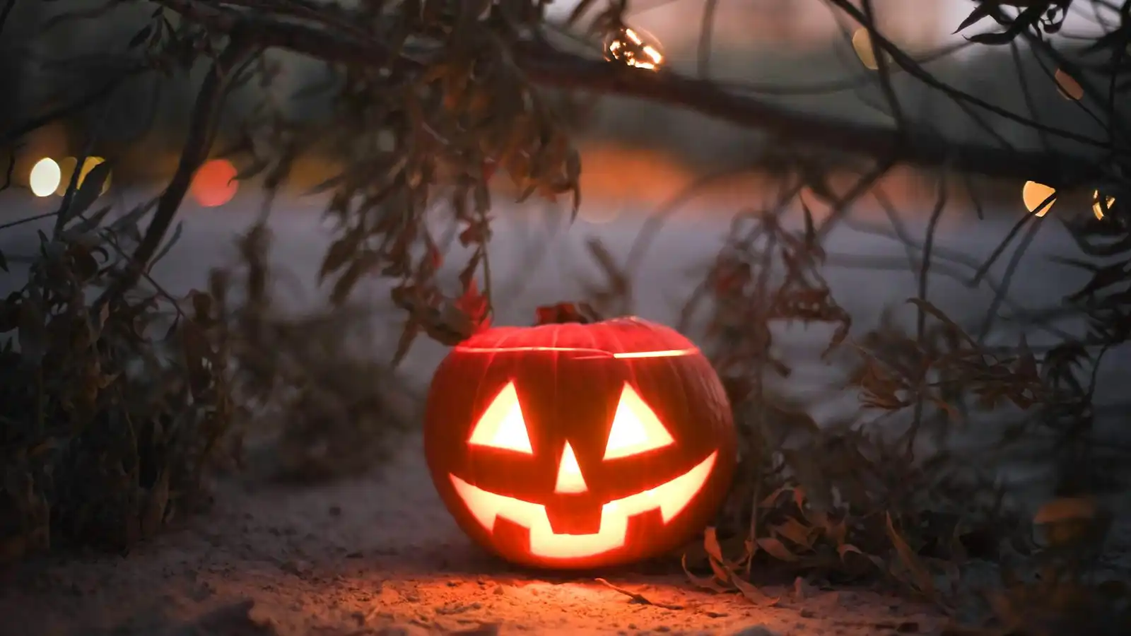 Halloween e Seus Mitos: O Que os Brasileiros Precisam Saber Sobre esses Dados