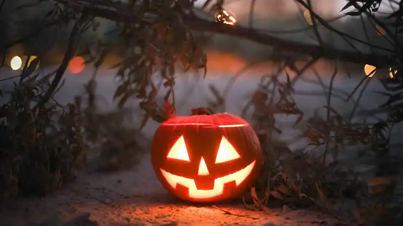 Halloween e Seus Mitos: O Que os Brasileiros Precisam Saber Sobre esses Dados