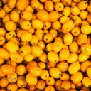 Para que serve o óleo de buriti? Benefícios, usos e como aplicar