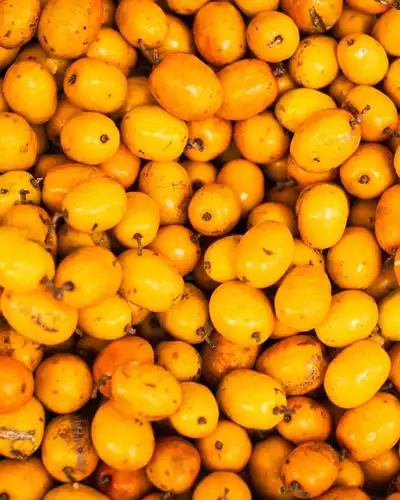 Para que serve o óleo de buriti? Benefícios, usos e como aplicar