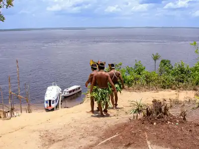 Raízes Vivas: A Essência Indígena na Cultura Brasileira
