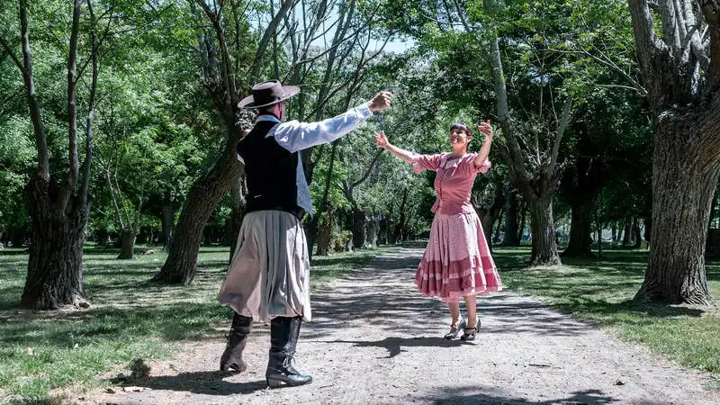 Símbolos Gaúchos: Tradicionais e Culturais do Rio Grande do Sul