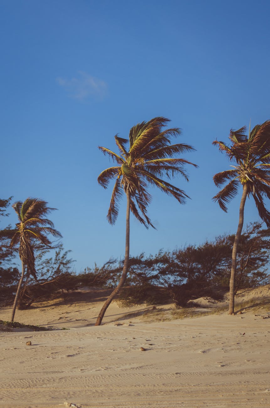 As Melhores Praias do Ceará: Seu Guia Definitivo para o Sol e a Alma Nordestina