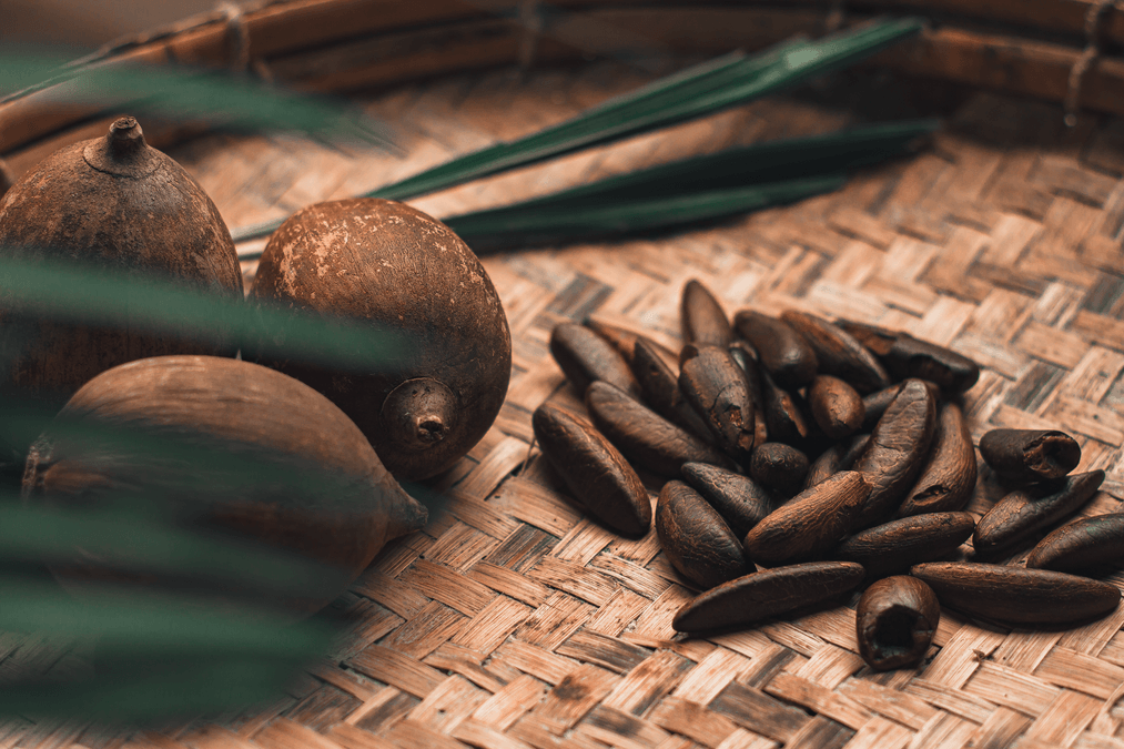 Baru: o que é, benefícios da castanha, como comer e onde encontrar