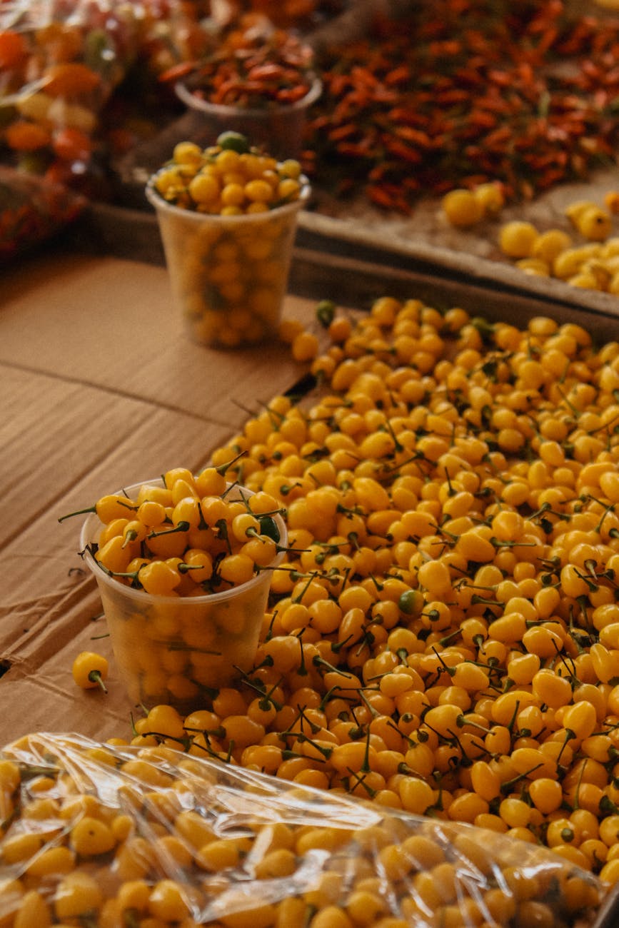 Sabores de Pernambuco: Uma Viagem Pelos Temperos e Tradições da Culinária Pernambucana