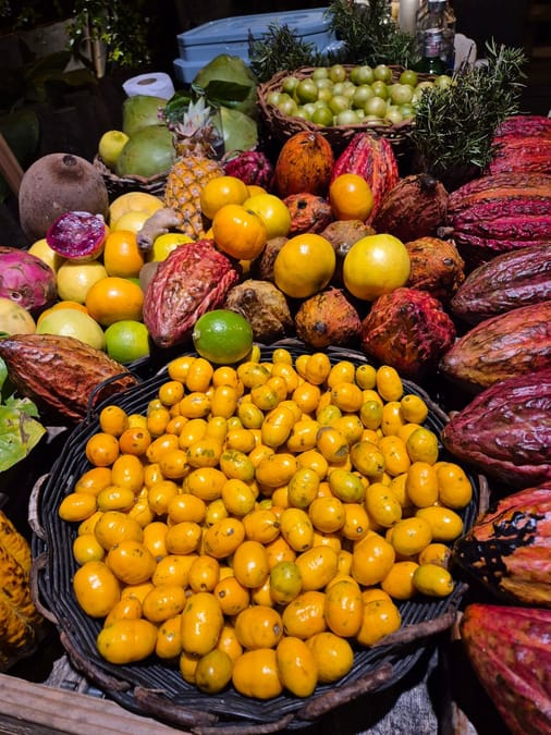 Fruta amarela do Cerrado: pequi, cagaita, mangaba e outras joias nativas