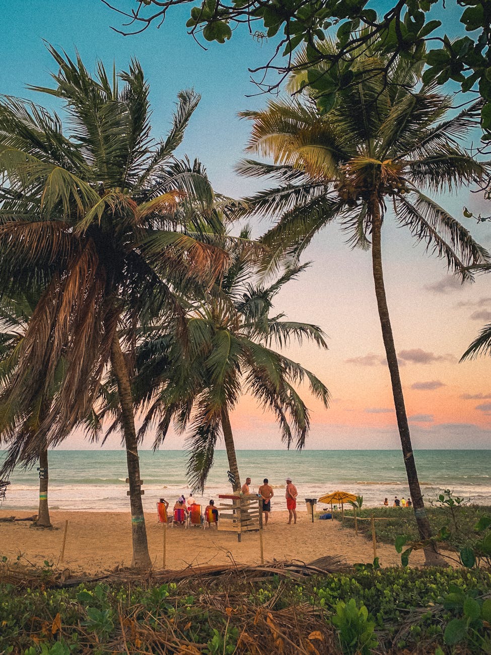 Guia Completo: As Praias do Nordeste que Você Precisa Conhecer (e Sentir)