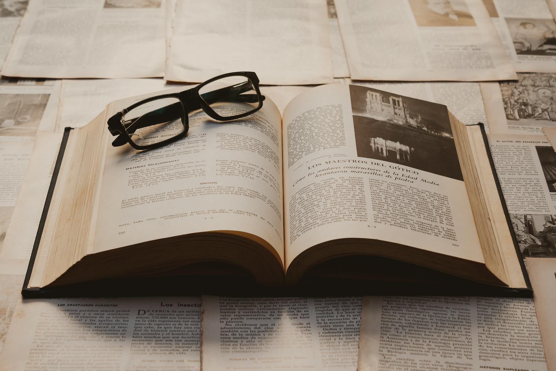 Literatura cearense: autores, obras essenciais e tradição literária