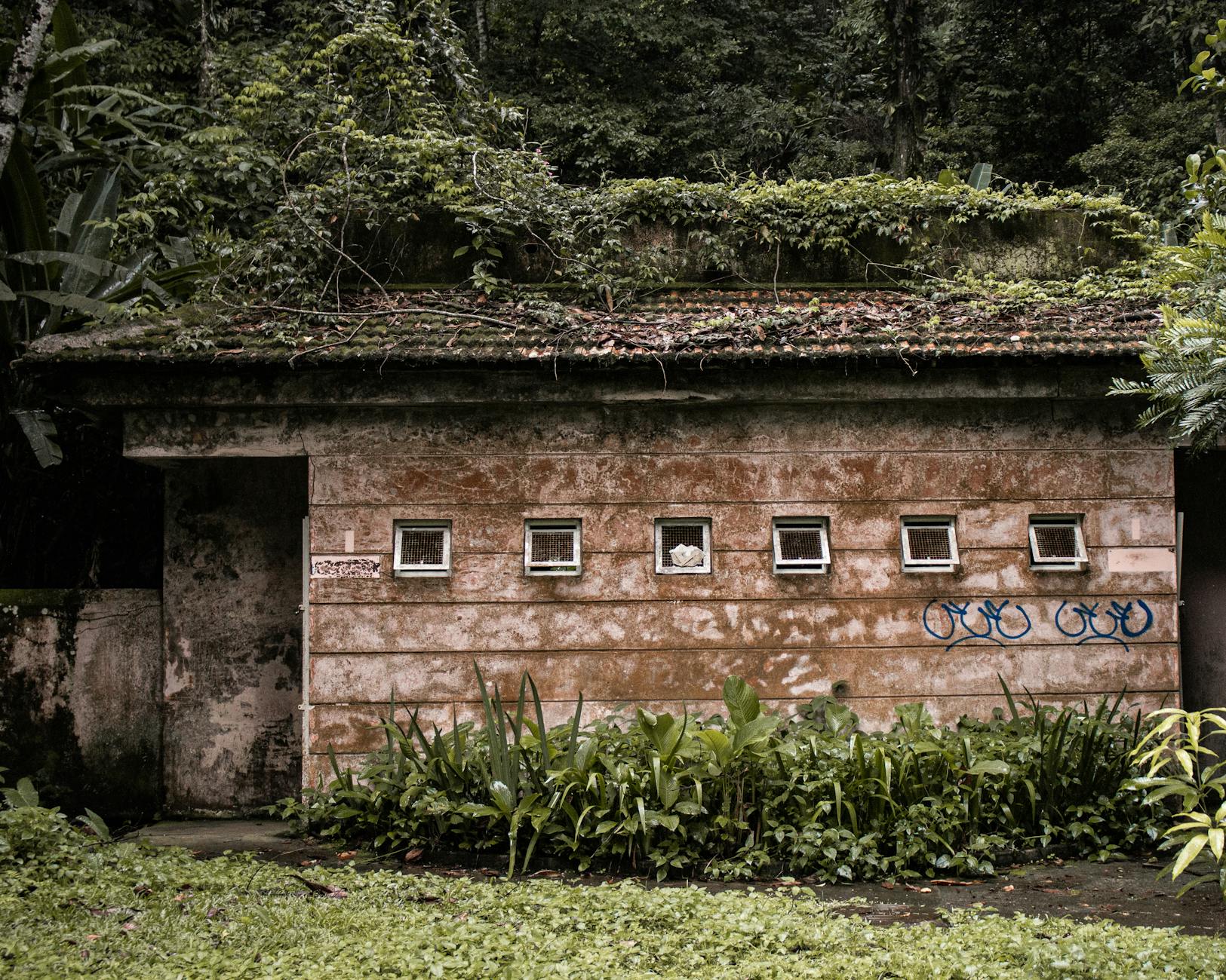 O Uso de Fossas Sépticas Ainda é Muito Comum no Brasil: Você Sabia?