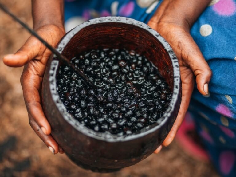 Muito Além do Açaí: 7 Frutas Exóticas Brasileiras que Você Precisa Provar 19 Frutas Exóticas Brasileiras