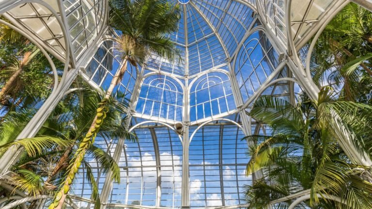 A Capital Ecológica do Brasil