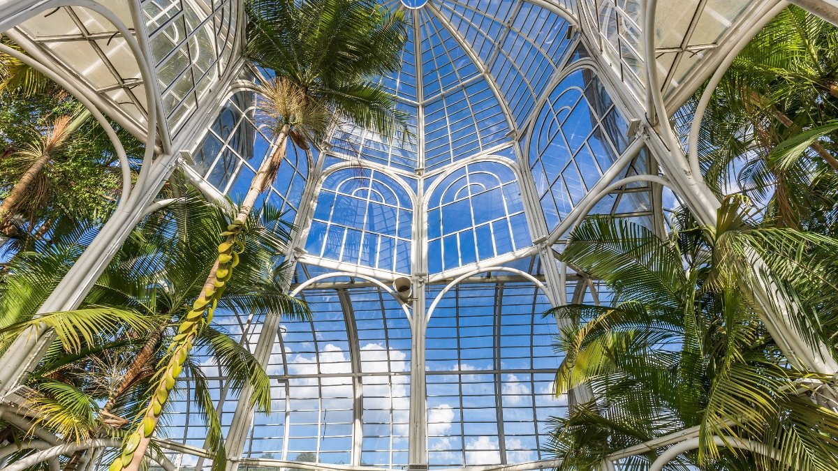 A Capital Ecológica do Brasil