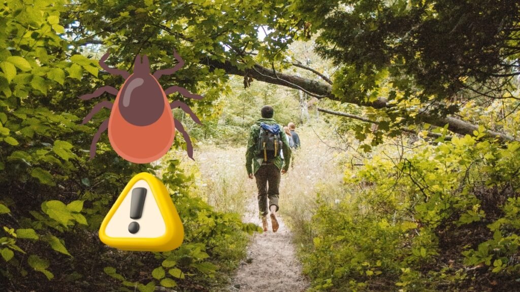 Carrapatos no Brasil